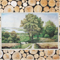 Гобелен (40х60 cм) (124-0100.4)