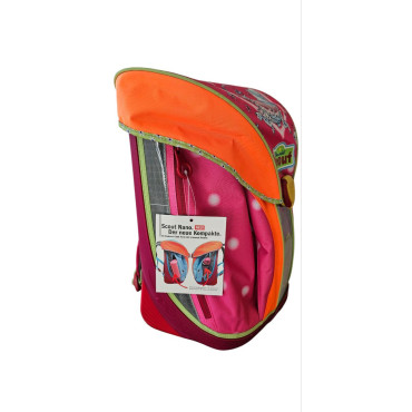 Шкільний ранець Derechtle scout Ельфи з наповненням (5 предметів)(8409008)